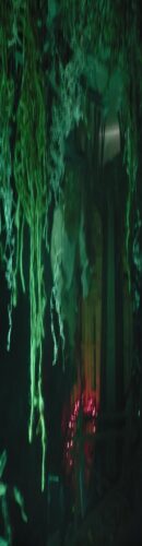 Forest of Lost Souls