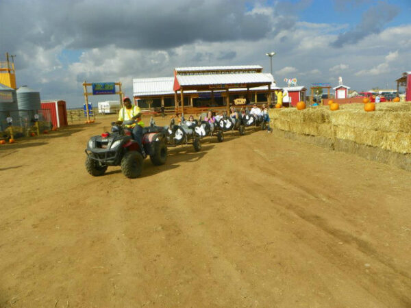 St. Bernard Farms Corn Maze & Pumpkin Patch