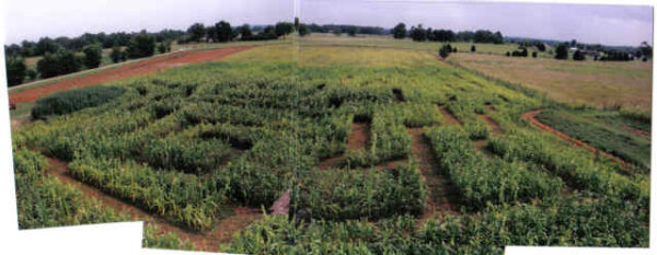 Smith Farms Corn Maze and Pumpkin Patch