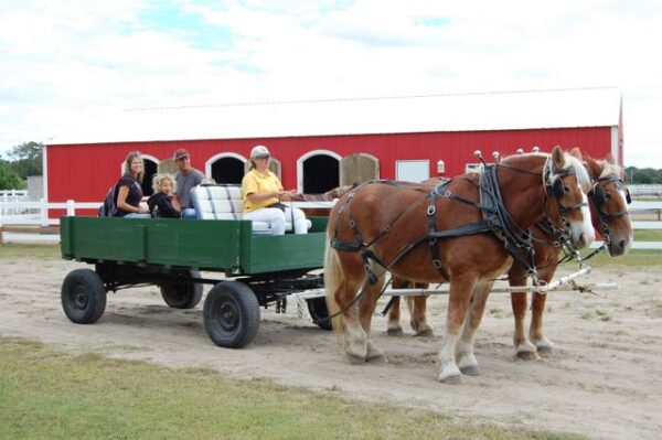 Wrangler Farms Fall Festival and Pumpkin Patch