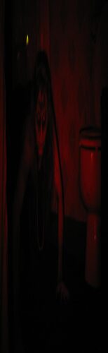 Company Gallery Images