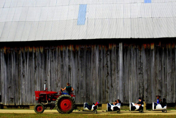 Montpelier Farms