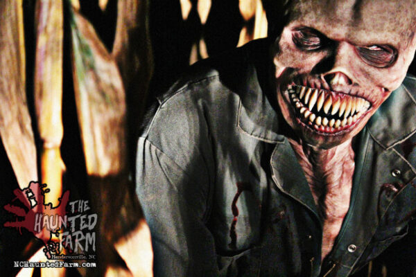 The Haunted Farm
