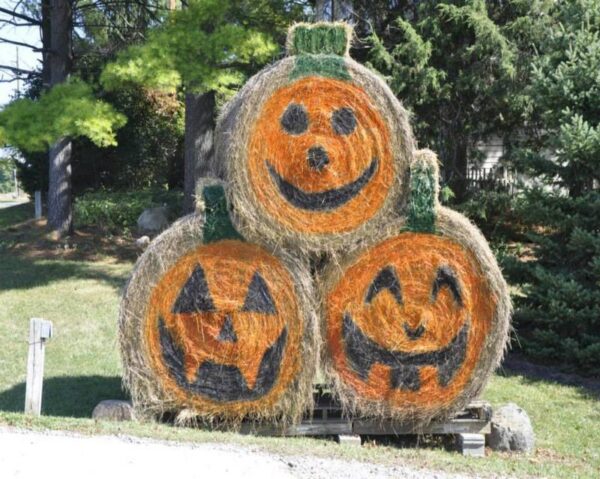 Stonycreek Farm - 39th Annual Pumpkin Harvest Festival