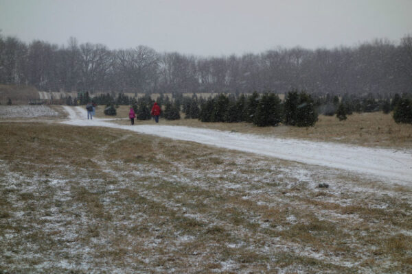 Kuipers Family Farm