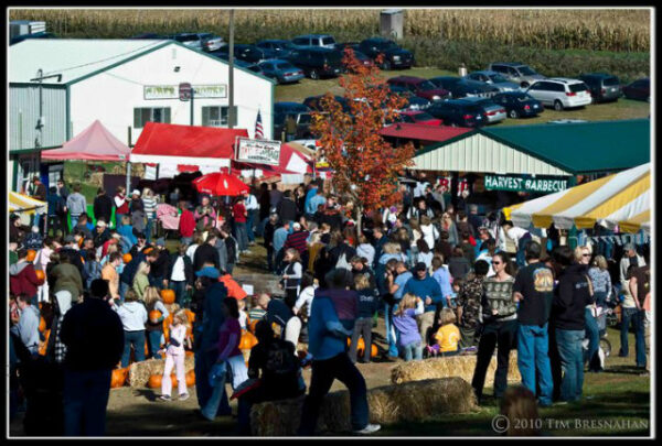 Beck's Harvest House Maze