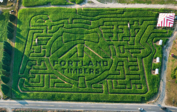 The Original Maize