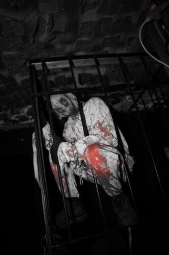 Orland Park Lions Club Haunted Woods