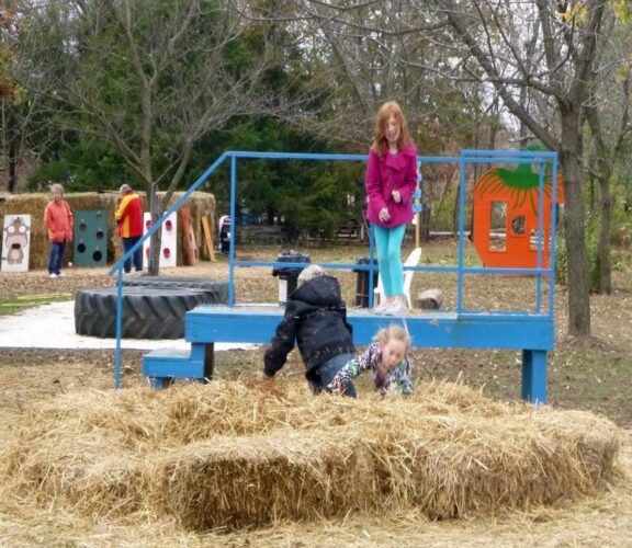 Pa Pa's Pumpkin Patch