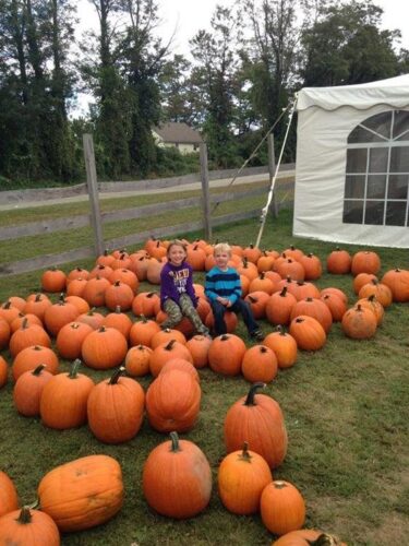 Barton Orchards Rotten Core Manor Haunted House