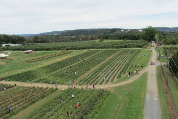 Barton Orchards Rotten Core Manor Haunted House