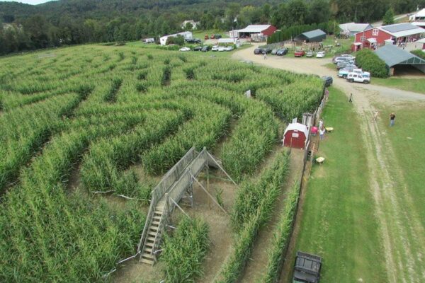 Barton Orchards Rotten Core Manor Haunted House