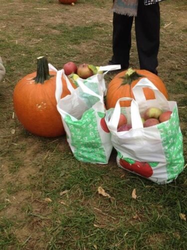 Barton Orchards Rotten Core Manor Haunted House