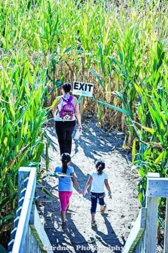 Barton Orchards Rotten Core Manor Haunted House