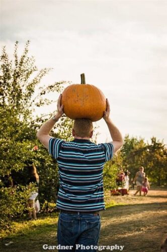 Barton Orchards Rotten Core Manor Haunted House