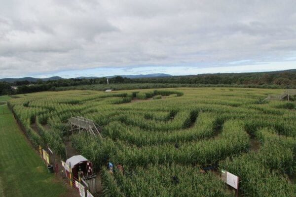 Barton Orchards Rotten Core Manor Haunted House