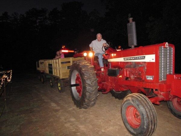 Buford Corn Maze & Haunted Forest