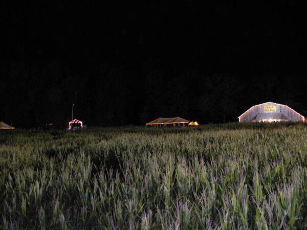 Buford Corn Maze & Haunted Forest