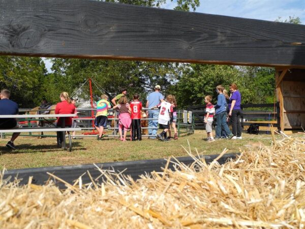 Buford Corn Maze & Haunted Forest