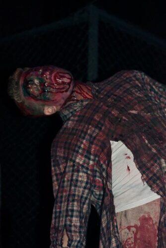 District of the Dead