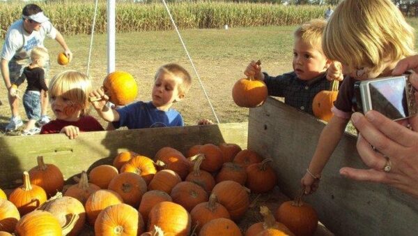 Campbell's Maze Daze & Pumpkin Patch