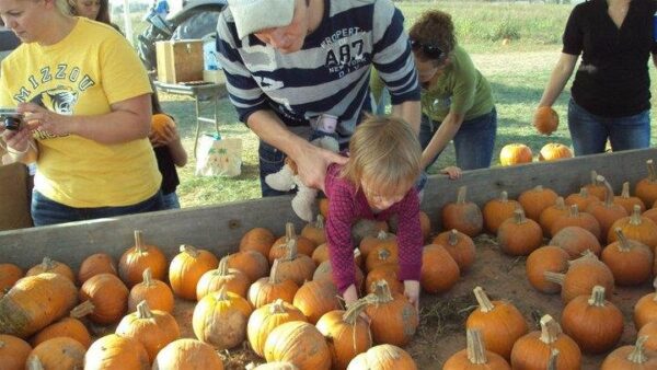 Campbell's Maze Daze & Pumpkin Patch