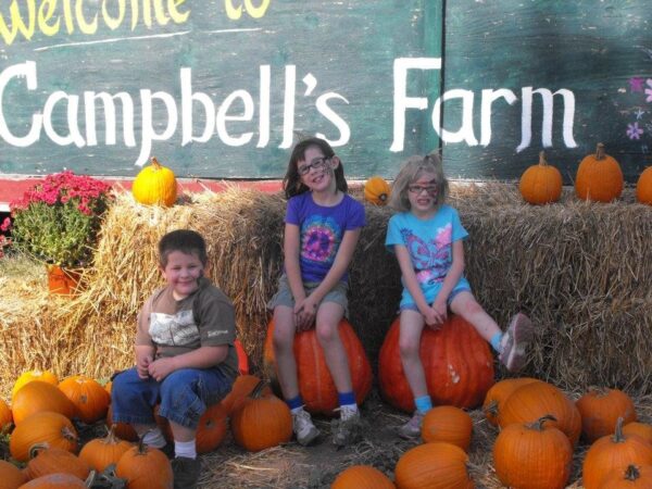 Campbell's Maze Daze & Pumpkin Patch