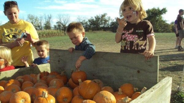 Campbell's Maze Daze & Pumpkin Patch