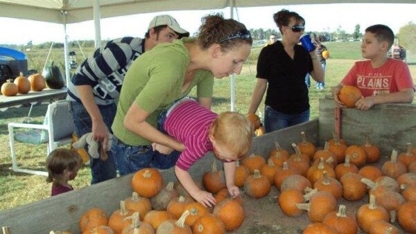 Campbell's Maze Daze & Pumpkin Patch