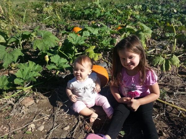 Campbell's Maze Daze & Pumpkin Patch