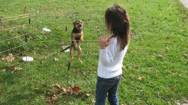 Campbell's Maze Daze & Pumpkin Patch