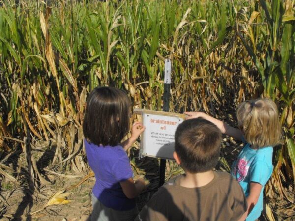 Campbell's Maze Daze & Pumpkin Patch