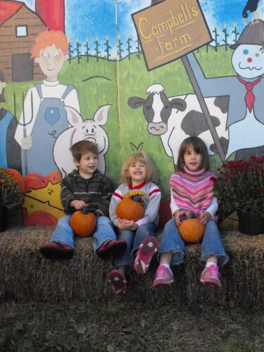 Campbell's Maze Daze & Pumpkin Patch