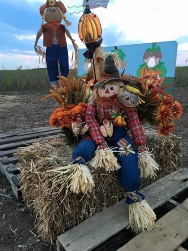 Haunted Maze at Circle S Corn Maze and Pumpkin Patch