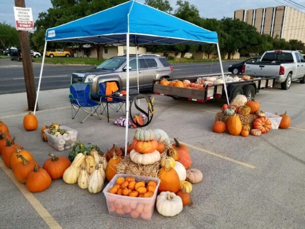 Haunted Maze at Circle S Corn Maze and Pumpkin Patch