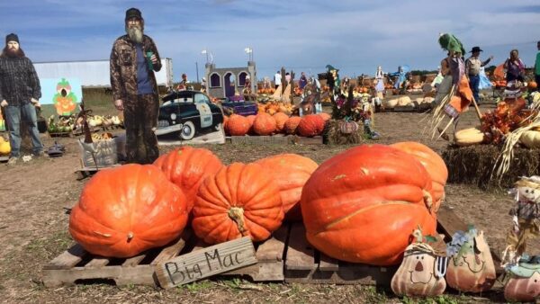 Haunted Maze at Circle S Corn Maze and Pumpkin Patch