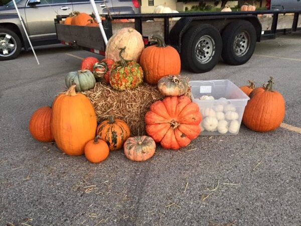 Haunted Maze at Circle S Corn Maze and Pumpkin Patch