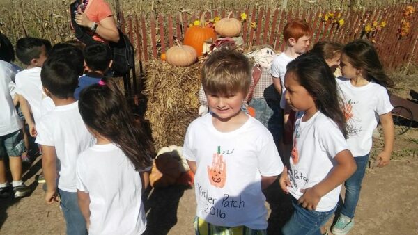 Haunted Maze at Circle S Corn Maze and Pumpkin Patch