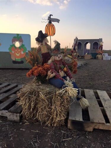 Haunted Maze at Circle S Corn Maze and Pumpkin Patch