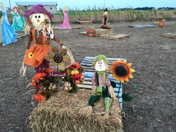 Haunted Maze at Circle S Corn Maze and Pumpkin Patch