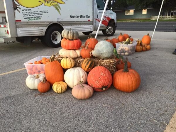 Haunted Maze at Circle S Corn Maze and Pumpkin Patch