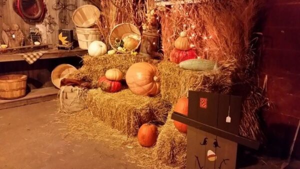 Ellis Fright Night at Cottage Lane Pumpkin Patch