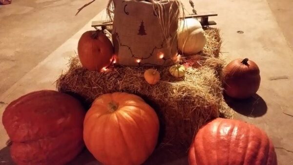 Ellis Fright Night at Cottage Lane Pumpkin Patch
