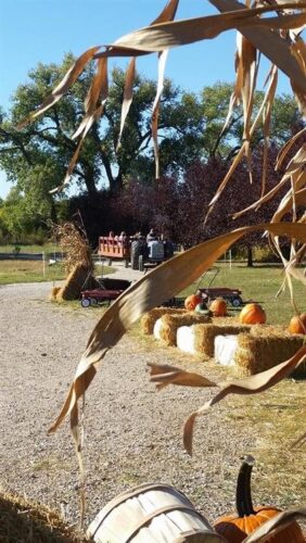 Ellis Fright Night at Cottage Lane Pumpkin Patch