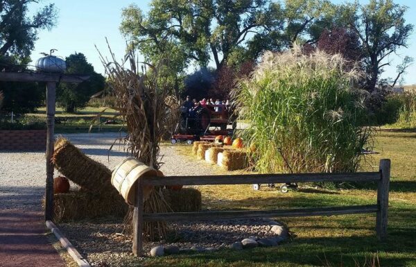 Ellis Fright Night at Cottage Lane Pumpkin Patch