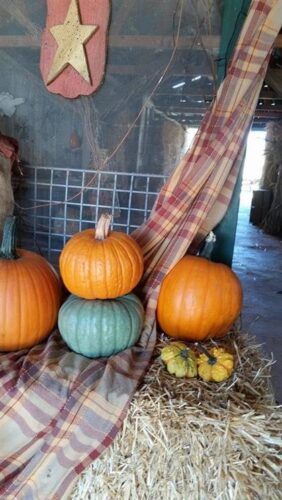 Ellis Fright Night at Cottage Lane Pumpkin Patch
