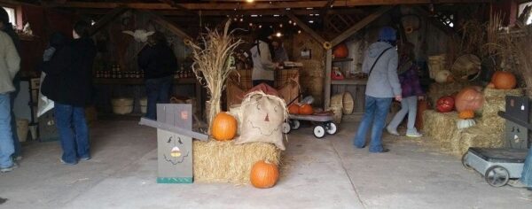 Ellis Fright Night at Cottage Lane Pumpkin Patch