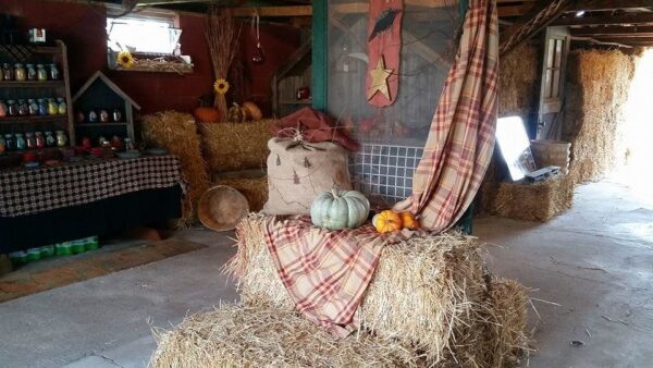 Ellis Fright Night at Cottage Lane Pumpkin Patch