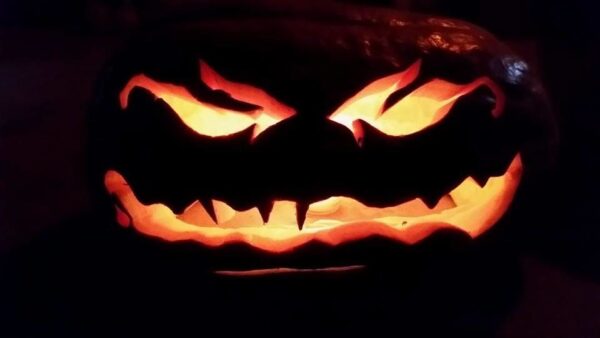 Ellis Fright Night at Cottage Lane Pumpkin Patch