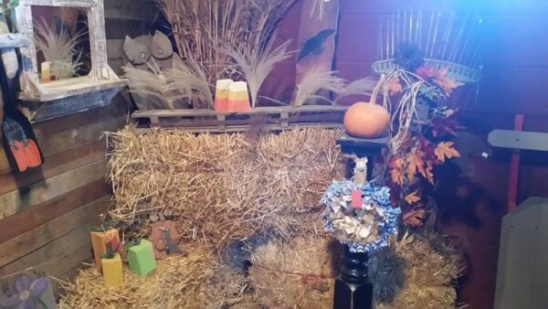 Ellis Fright Night at Cottage Lane Pumpkin Patch